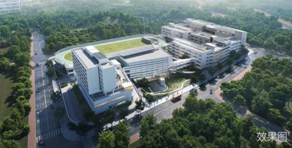 1745302021943571.jpg 40e3d6d5e9f192c1dc456a4a5669646.jpg