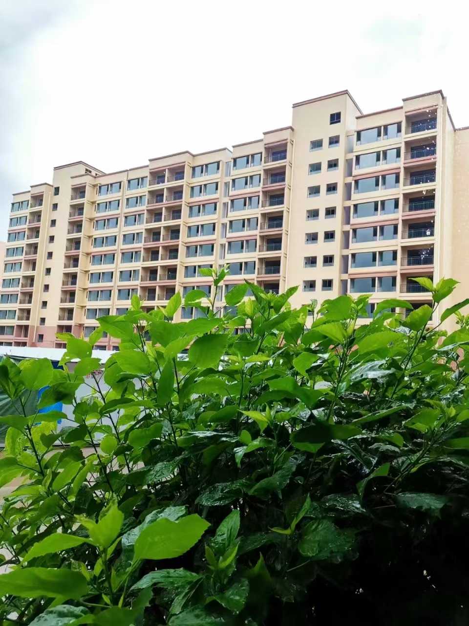 億豐花園 1-5房 均價(jià)3700