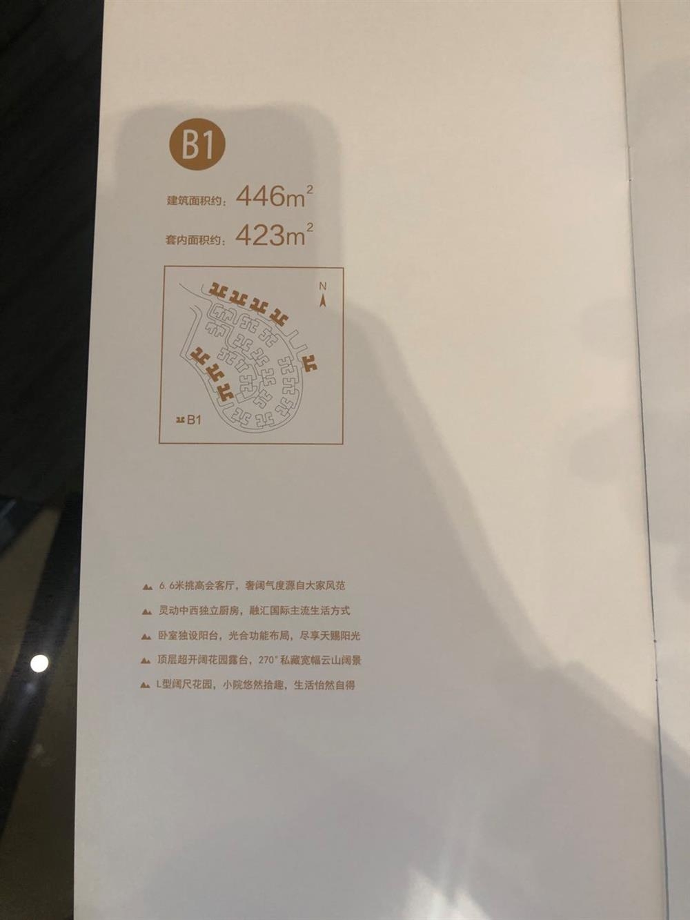 1774756055387531.jpg 1774756055387531.jpg