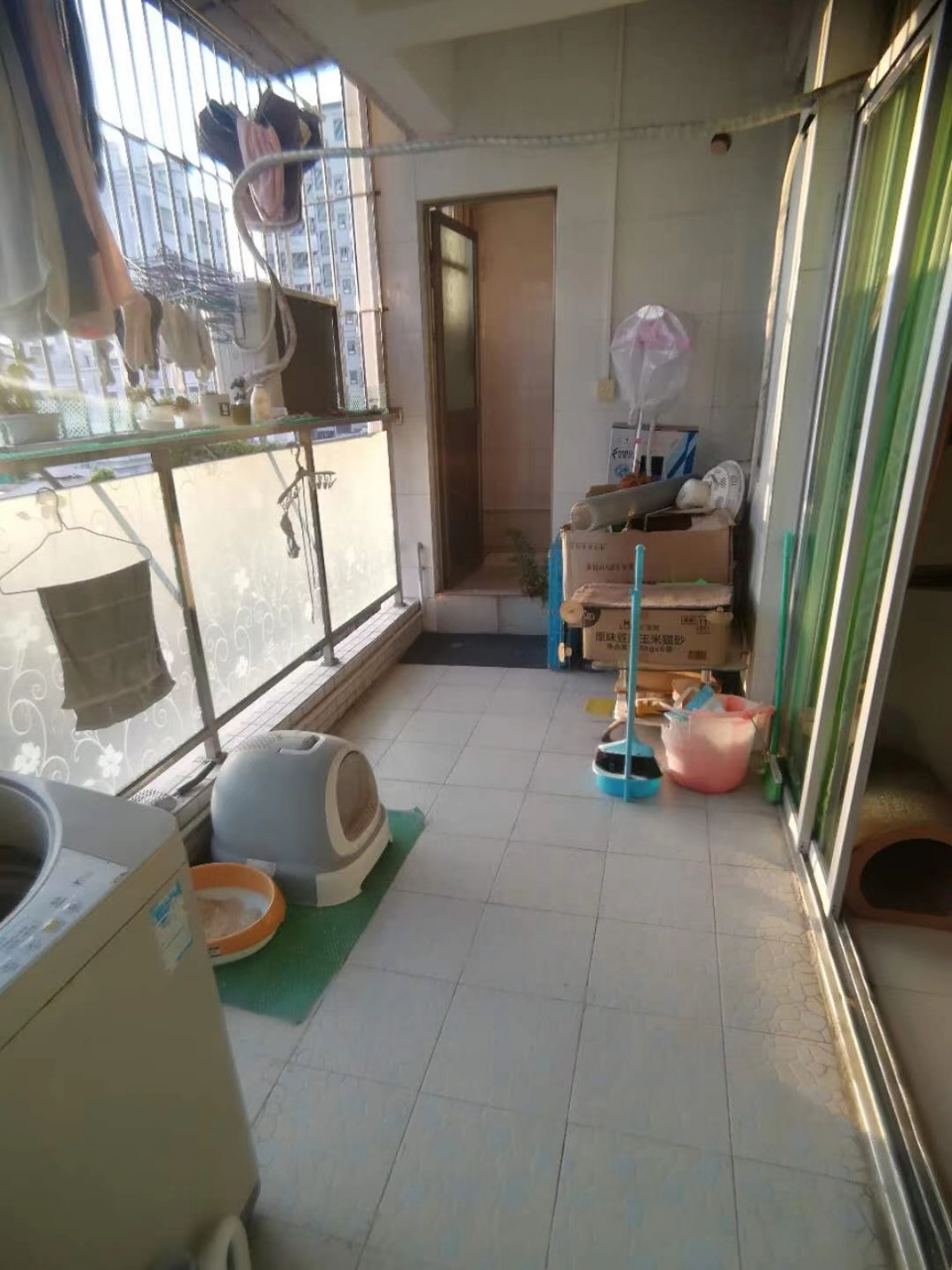 1603419412122421.png 1603419412122421.png