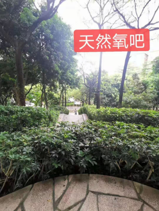 金光華府名校零距離，盡享綠色生態