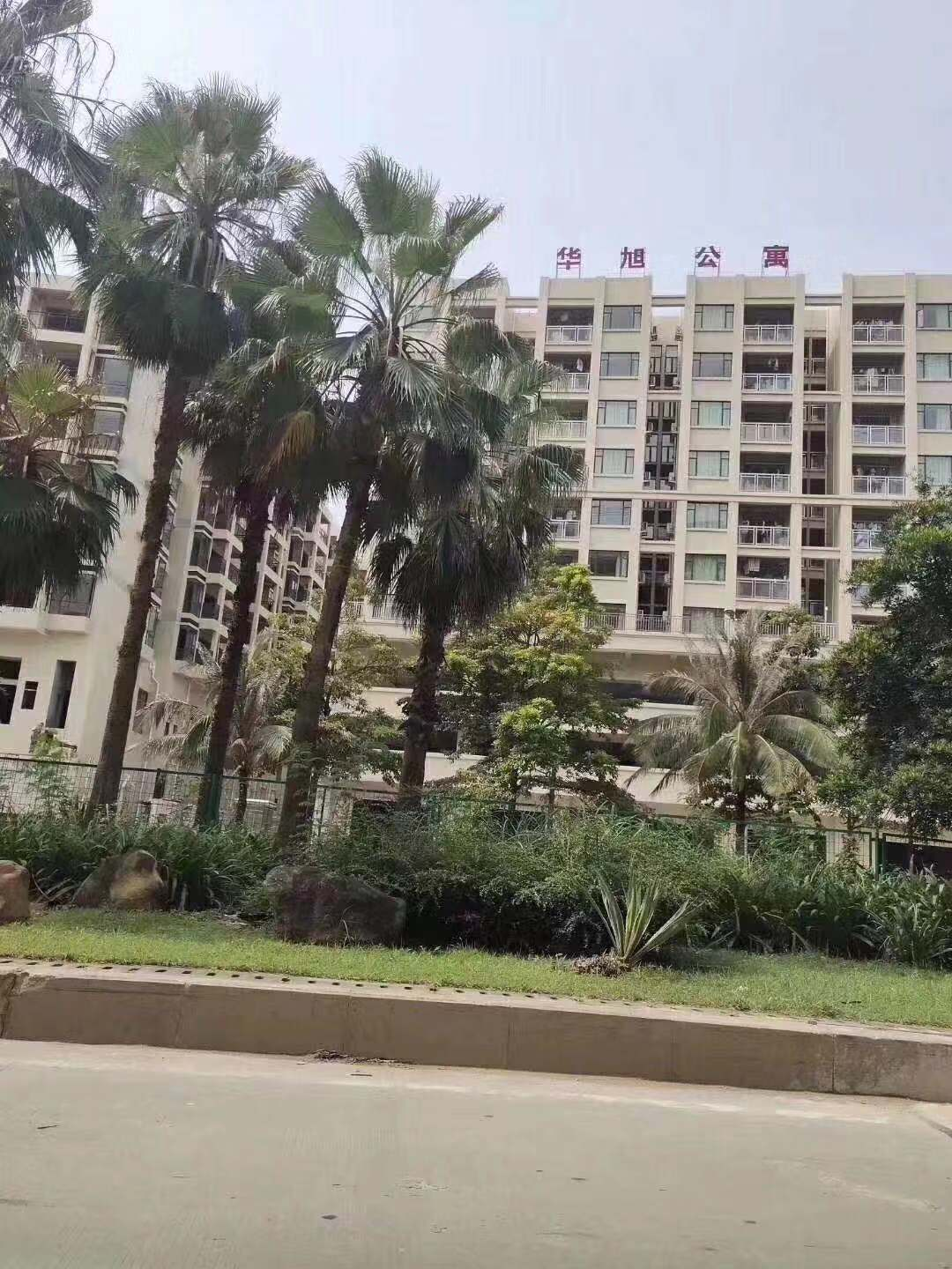 1616377980449067.png 1616377980449067.png