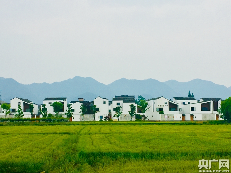 培育一批具有杭州特色的農(nóng)村新型業(yè)態(tài)