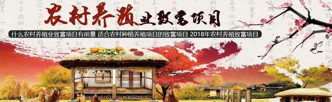 村委會(huì)先后組織村民開(kāi)展硬化南北道