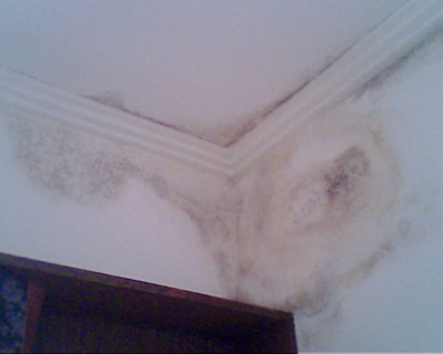 譽城苑是珠江新城少有的以苑命名的小區