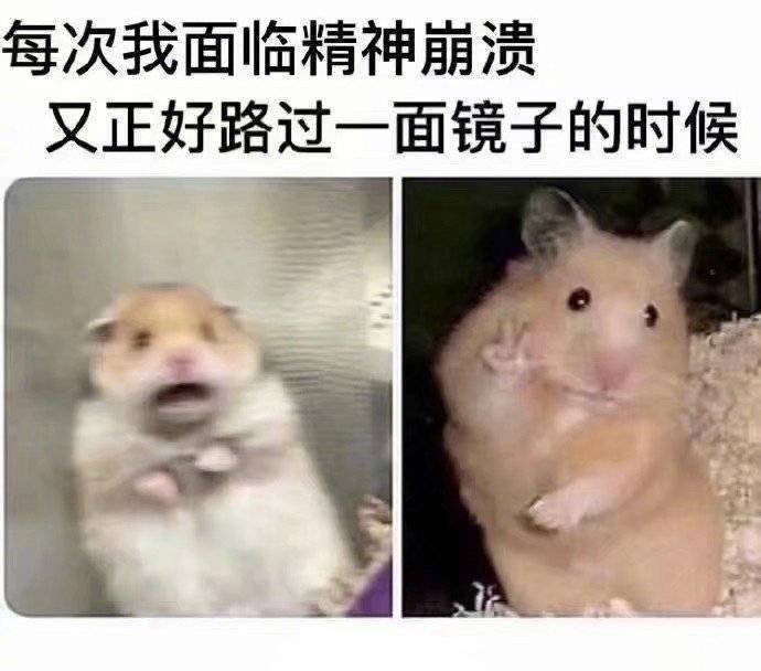 在南三環與子午大道交叉口的某回遷小區