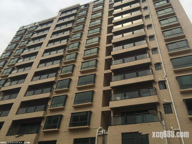 光明擁有中山大學(xué)深圳校區(qū)