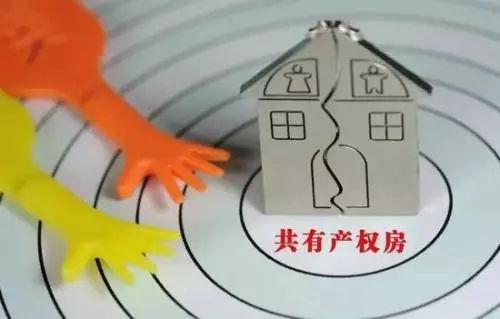 共有人約定不得分割共有的不動(dòng)產(chǎn)或者動(dòng)產(chǎn)