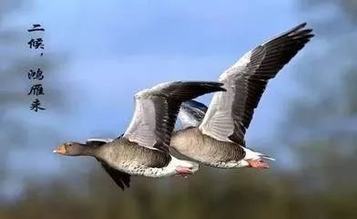 看著癱瘓在床的兒子絕望而無助的眼神