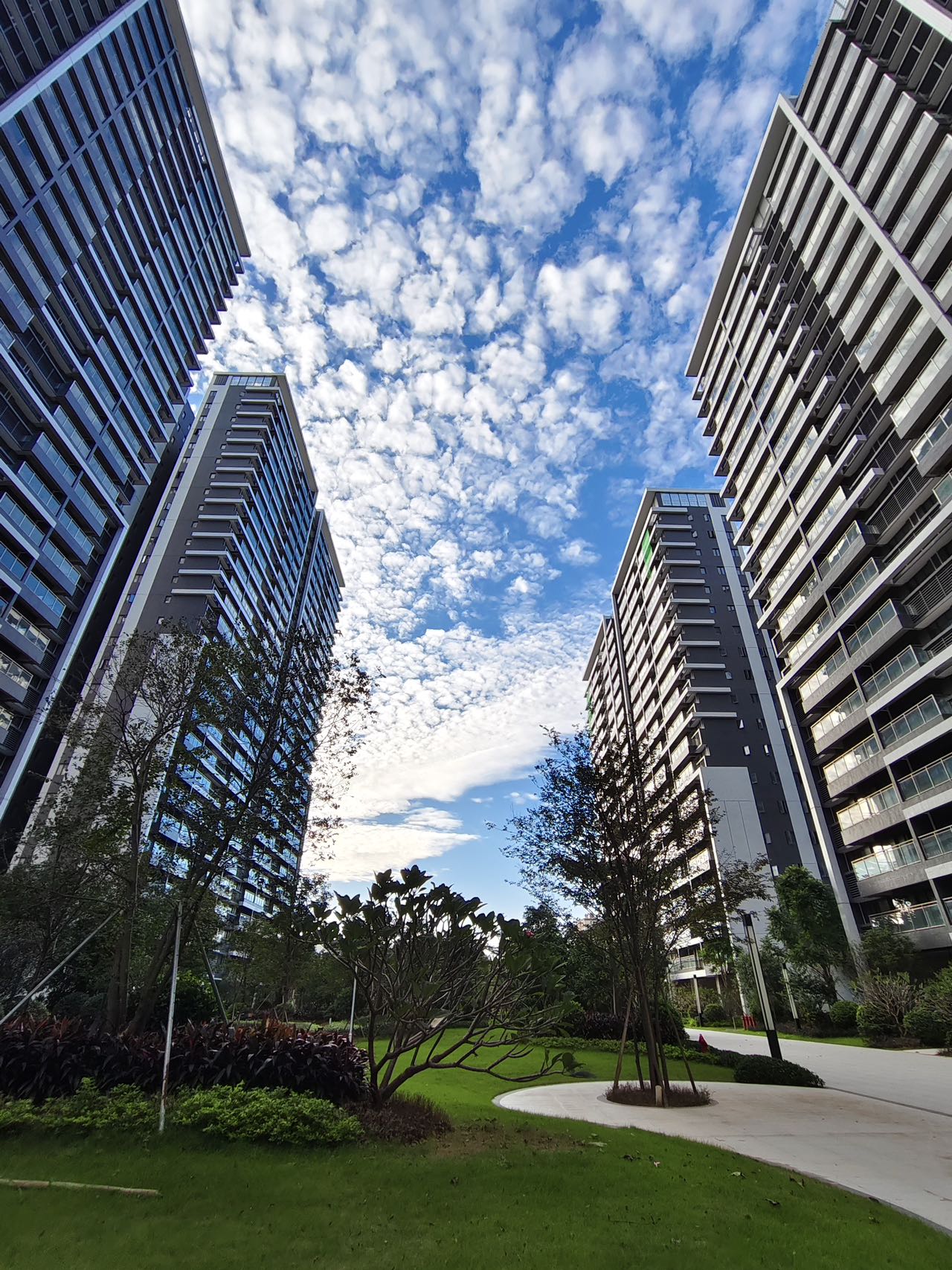 1773114954114683.jpg 1773114954114683.jpg